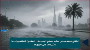 ارتفاع ملموس في حرارة سطح البحر خلال العقدين الماضيين.. ما تأثير ذلك على البيئة؟